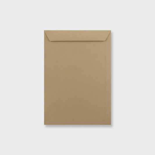LEO Manilla Plain Wage Gummed Envelopes - Open Short Side - Box of 500 Barcode 6007652007597