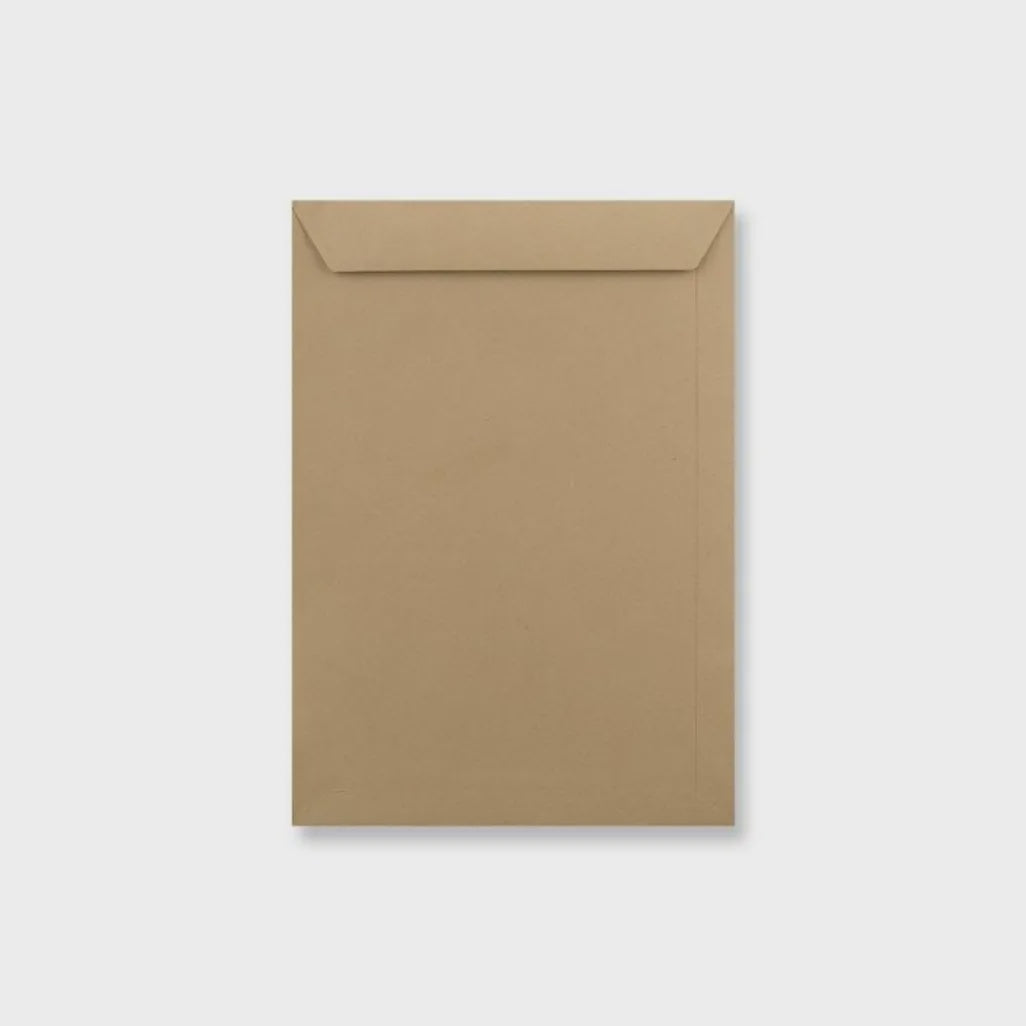 10000/113 LEO Manilla Plain Wage Gummed Envelopes - Open Short Side - Box of 500 Barcode 6007652007597